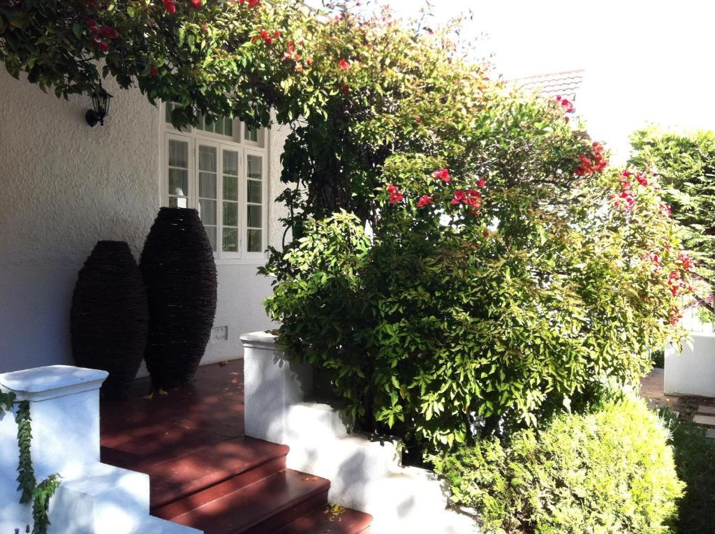5 Camp Street Guesthouse & Self-Catering Cape Town Rom bilde